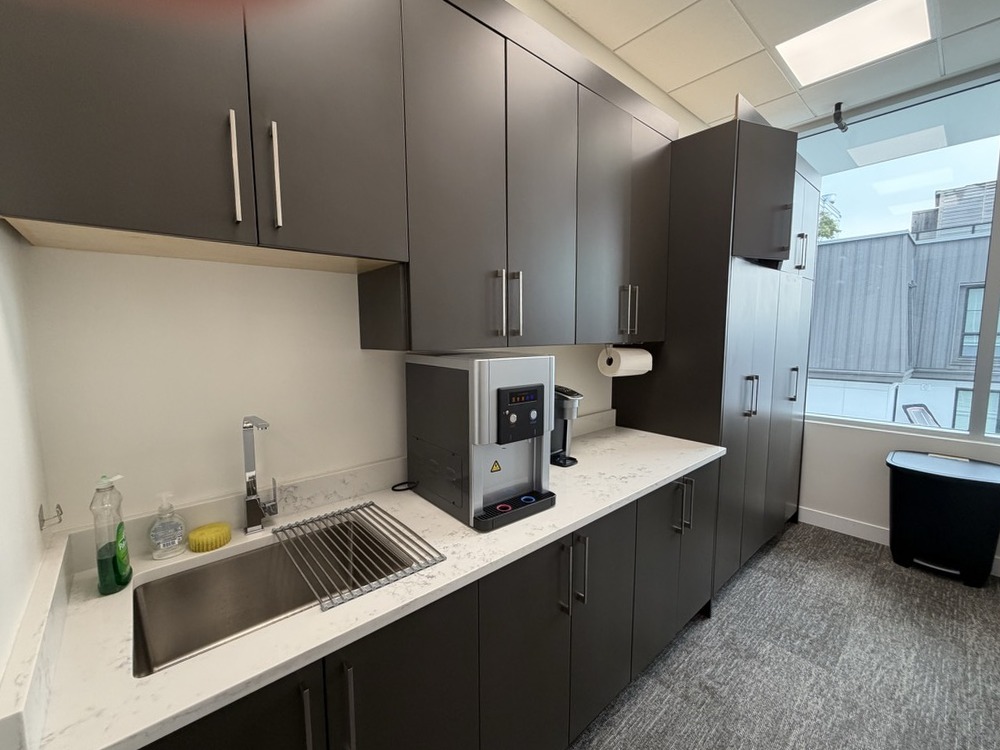 Shared kitchen with dark cabinetry, quartz counters and natural light